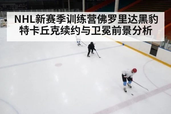 NHL新赛季训练营佛罗里达黑豹特卡丘克续约与卫冕前景分析 - kaiyun