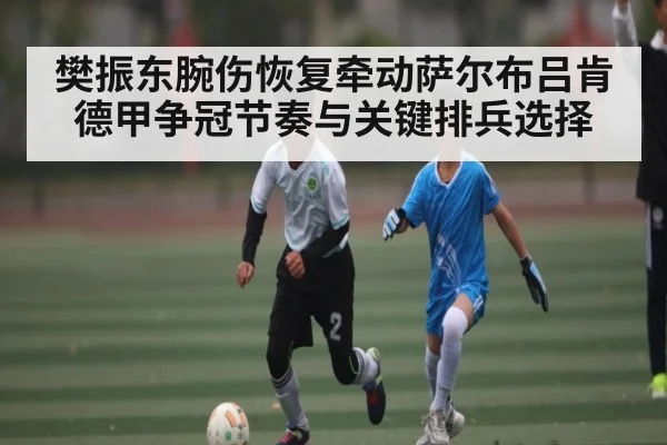 樊振东腕伤恢复牵动萨尔布吕肯德甲争冠节奏与关键排兵选择 - kaiyun